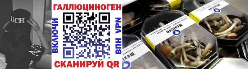 Псилоцибиновые грибы Psilocybe Комсомольск-на-Амуре